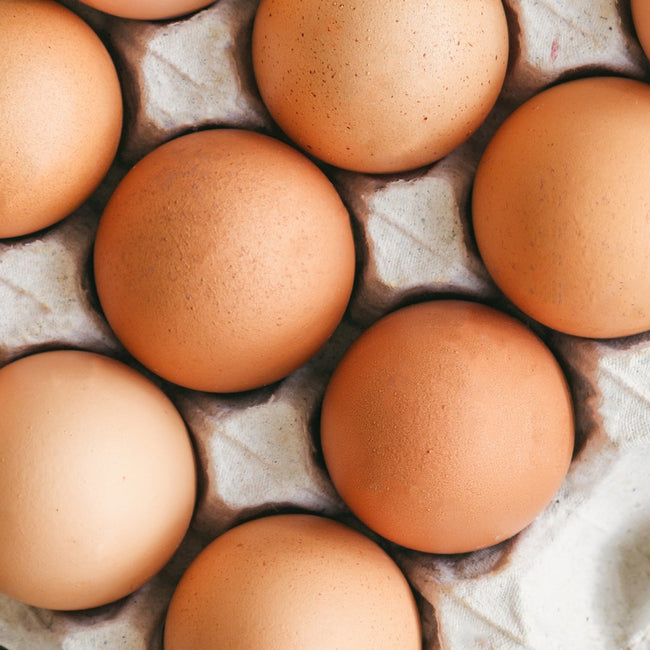Pea Protein vs Egg Protein: Which Protein is Right for You?