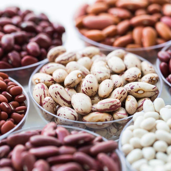 Everything You Ever Wanted to Know About Lectins