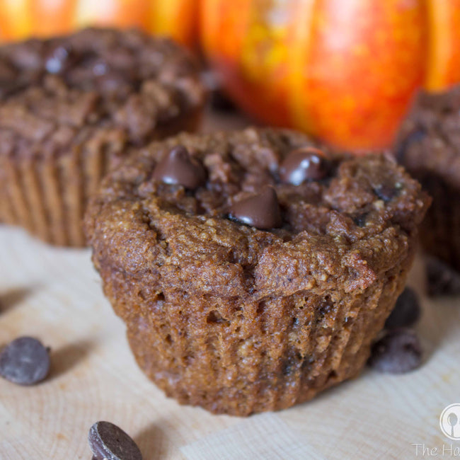 Chocolate Pumpkin Protein Muffins Recipe