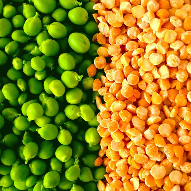 6 Unknown Pea Protein Benefits