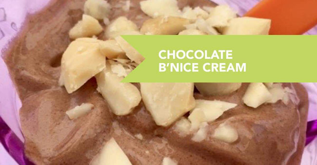 Chocolate B’Nice Vegan Protein Ice Cream Recipe