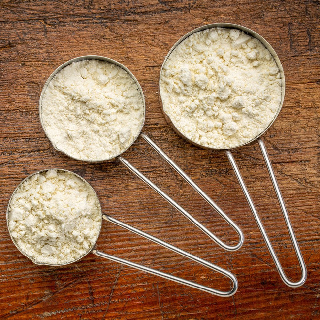 Whey vs Plant Protein: Which Protein Supplement Is Right for You?