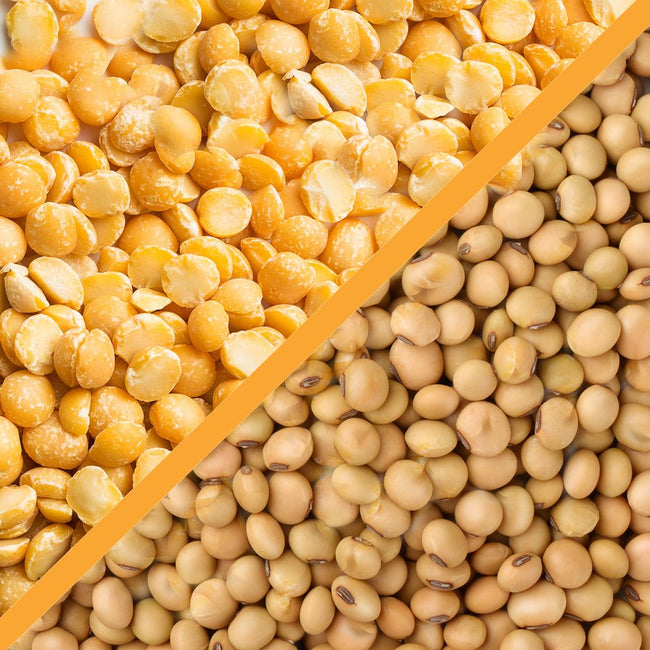 Pea vs Soy Protein: Which Protein is Right for You?