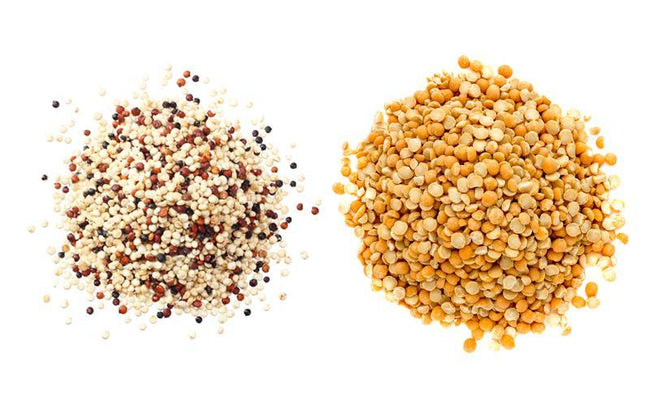 Pea Protein vs Quinoa Protein: Which Protein Is Most Beneficial For You?